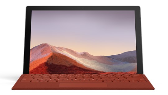 钟楼清洁和维护 Surface